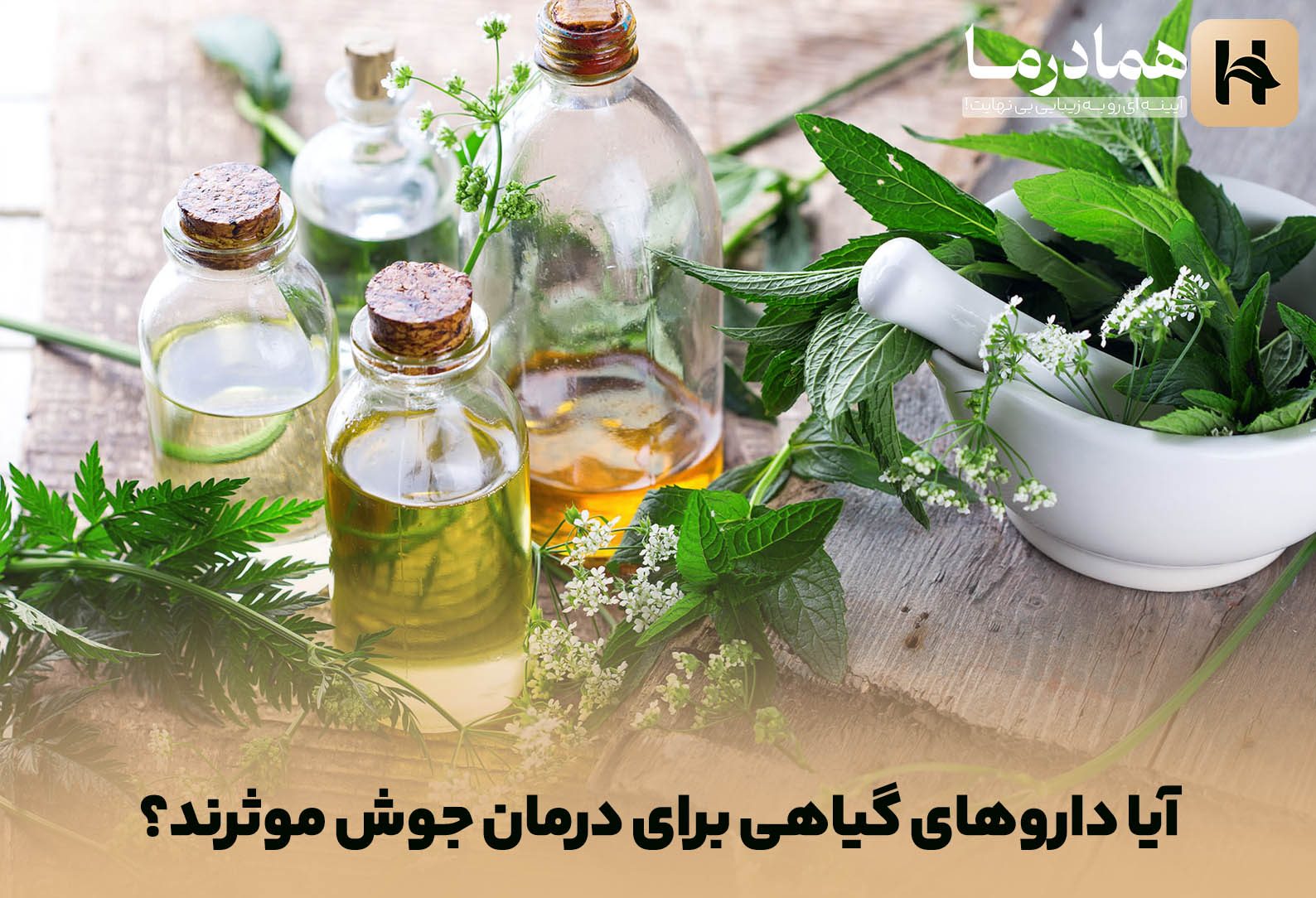 آیا داروهای گیاهی برای درمان جوش موثرند؟