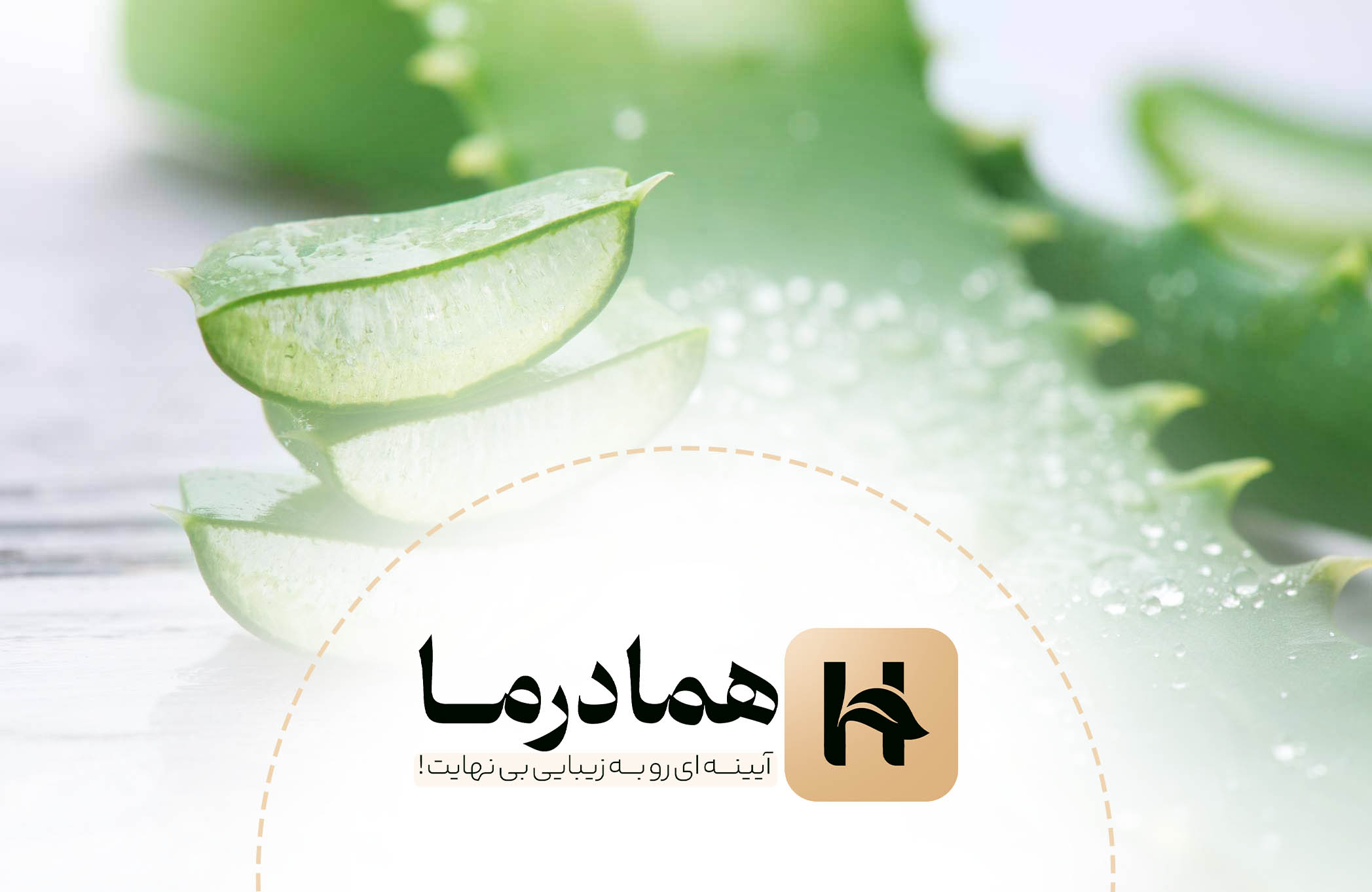 تماس با ما
